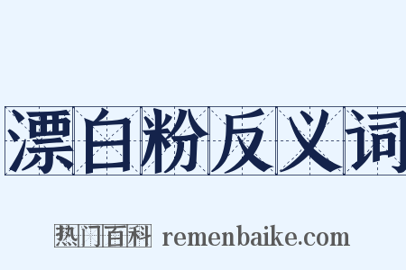 漂白粉反义词是什么意思的图片